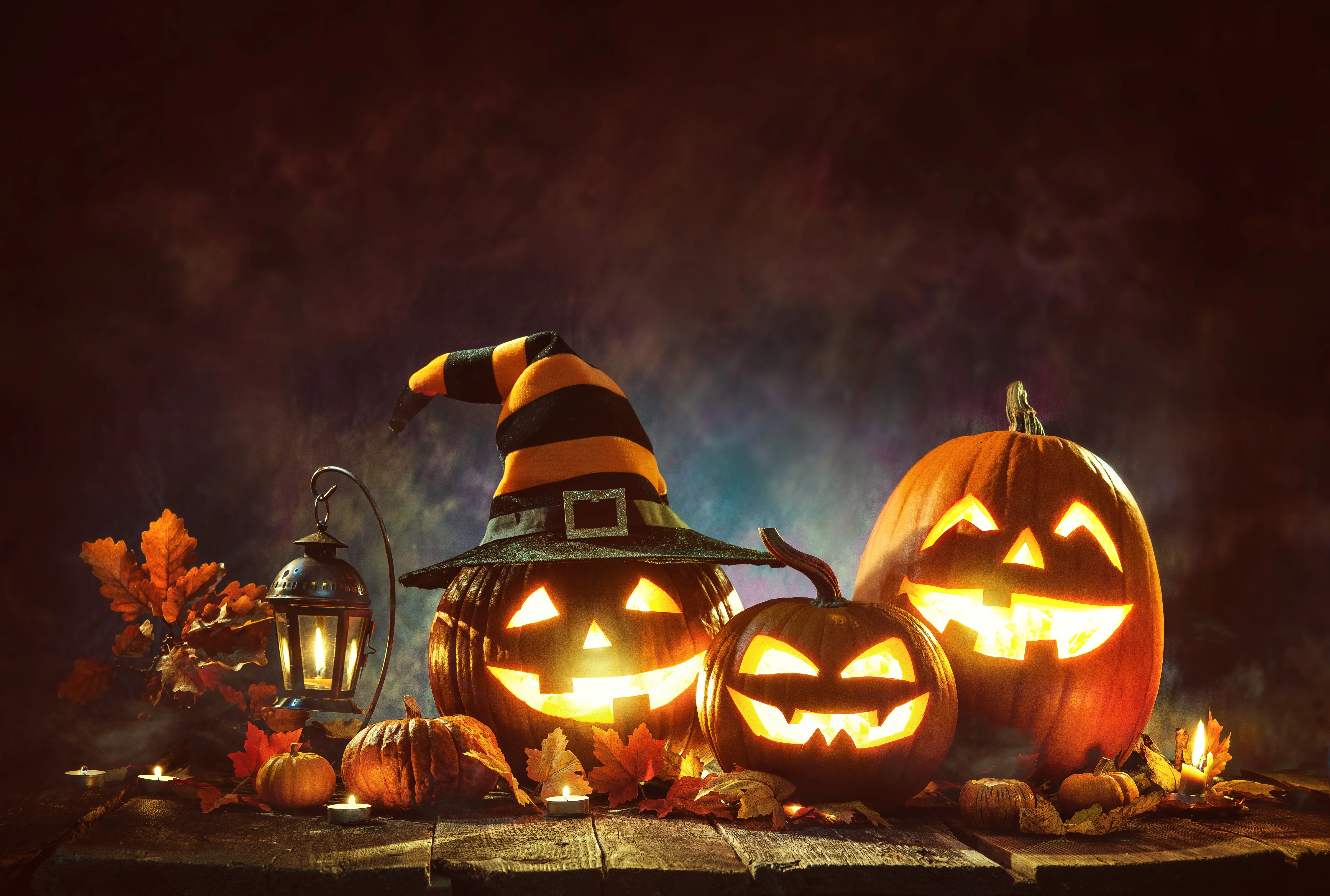 Halloween Party (organiser's event image)