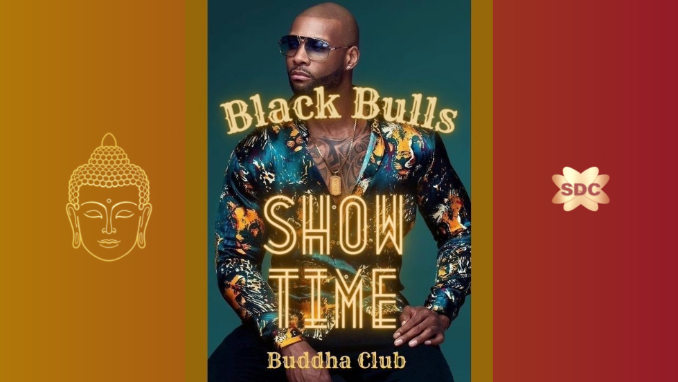 Black Bulls Party (organiser's event image)