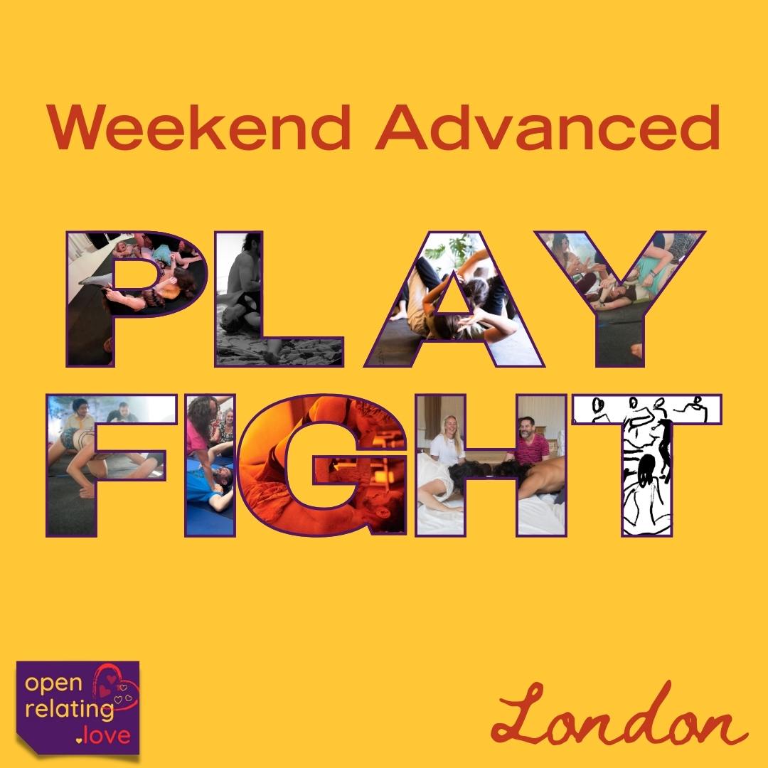 Embodied Play Fighting – Advanced (19 December, London) (organiser's event image)